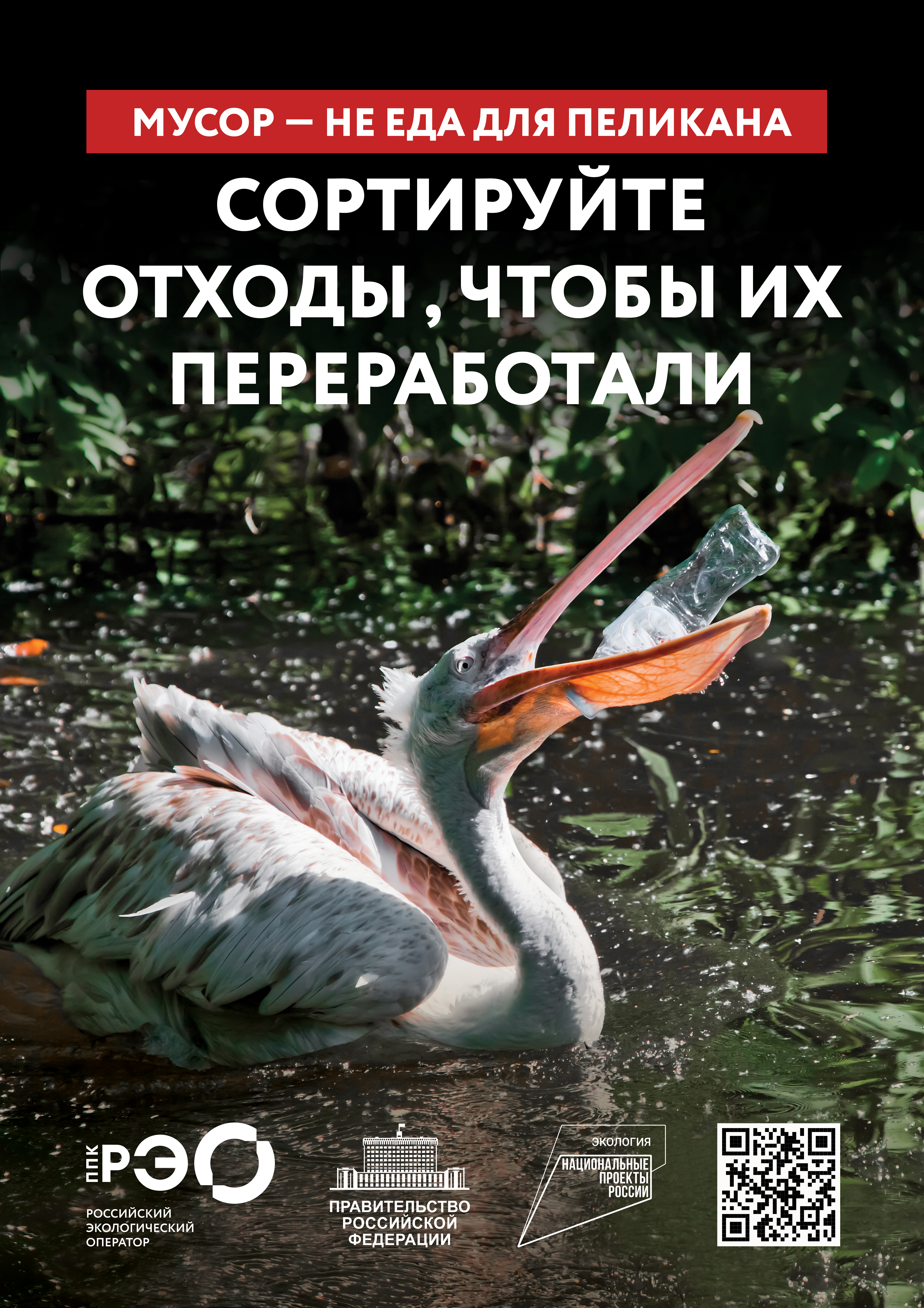 Seria 9 animal poster A2 5