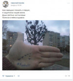 Князек